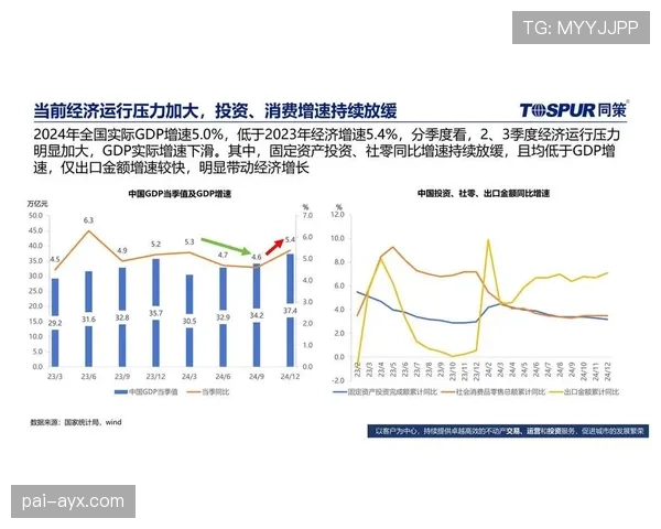 埃斯数据分析揭示未来一年关键市场趋势，投资机会引关注