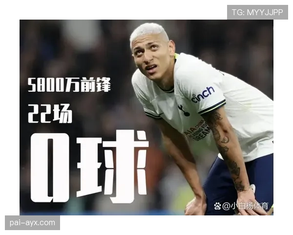 理查利森身价变动